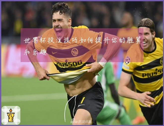 世界杯投注技巧如何提升你的胜算和乐趣