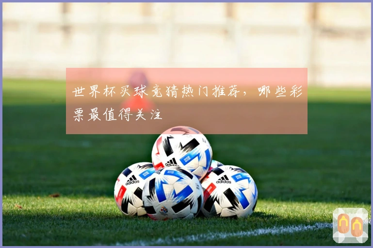世界杯买球竞猜热门推荐，哪些彩票最值得关注